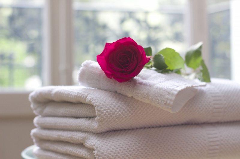 chambre-hote-LA GARDE FREINET-min_towel_rose_clean_care_salon_spa_white_bath-731641